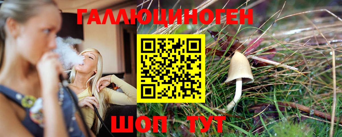 Псилоцибиновые грибы мухоморы Лесной